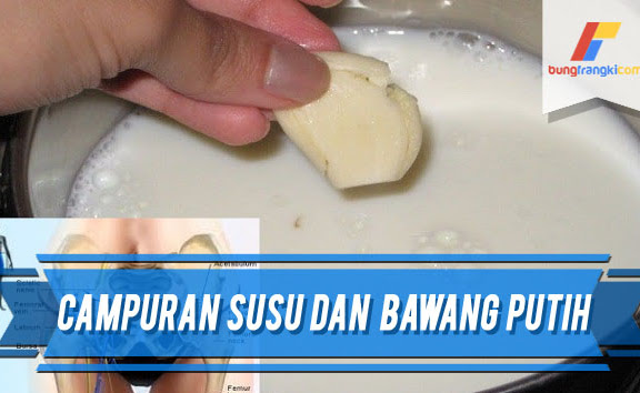 Manfaat Campuran Susu dan Bawang Putih Untuk Kesehatan