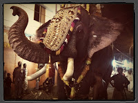 Elephant at Hindu festival