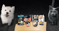 Con Cesar e Sheba vinci 50 forniture di prodotti cani e gatti da 350€ Logo Con Cesar e Sheba vinci 50 forniture di prodotti cani e gatti da 350€