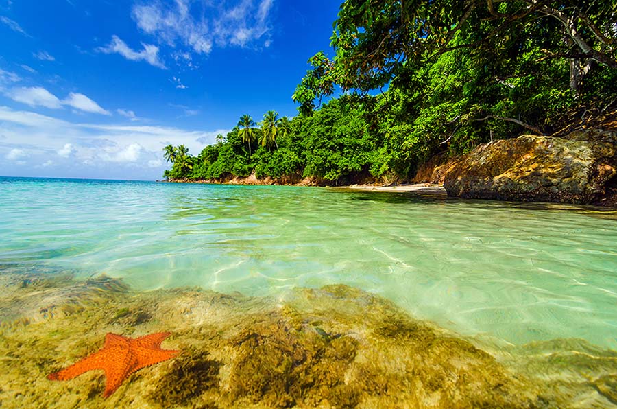 Luxury Travel Magazine reviews will deliver the best luxury resorts in