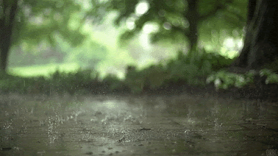 Nature Rain Animation (Animasi Hujan)