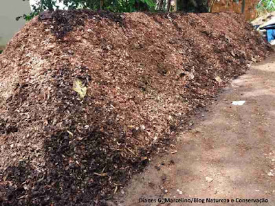 Leiras construídas adotando princípios do método UFSC de compostagem para produção de composto orgânico. Foto: Dianes Gomes Marcelino. método ufsc de compostagem, método ufsc, compostagem, tratamento de resíduos orgânicos, resíduos orgânicos, resíduos sólidos, degradação, adubo orgânico, composto orgânico, universidade federal de santa catarina, alternativas para tratamento de resíduos sólidos, como fazer compostagem, manual de compostagem, MMA, Cepagro