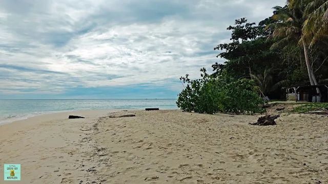 Isla de Sipadan (Borneo, Malasia)