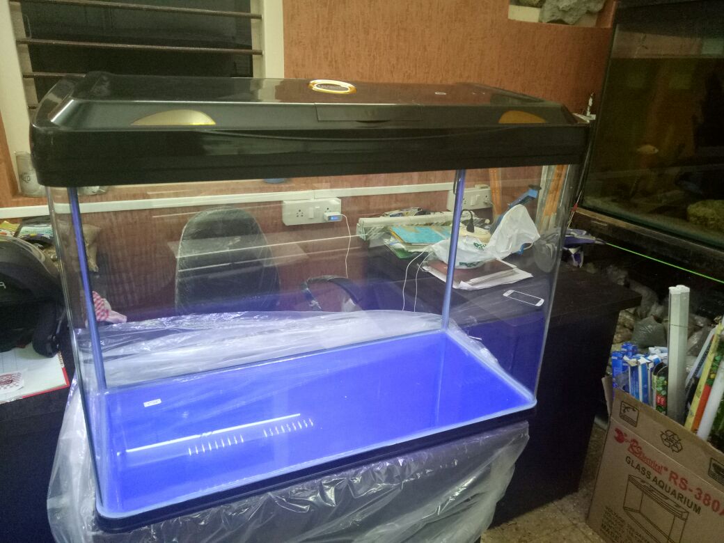 JOE'S AQUAWORLD FOR EXOTIC FISHES MUMBAI INDIA 9833898901 aquarium