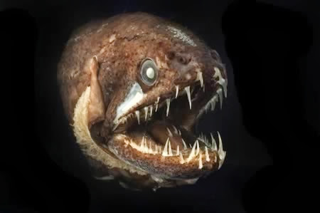 a98432_Teeth_3