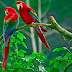 Top 10 hd wallpaper Images, Greetings, Pictures for Whatsapp-bestwishespics