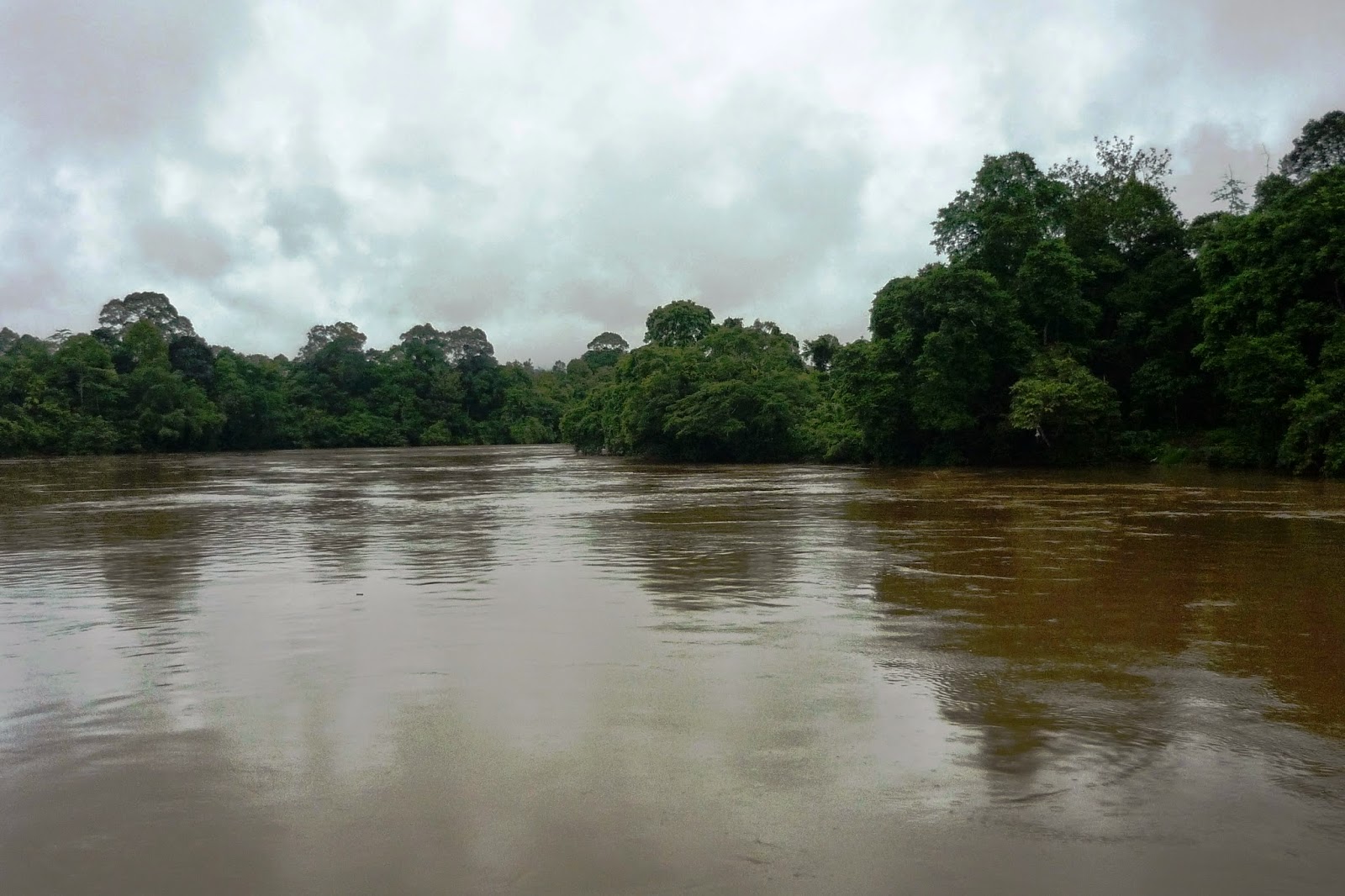 Slow Train Coming: THE MIGHTY MAHAKAM RIVER- East Kalimantan, Indonesia