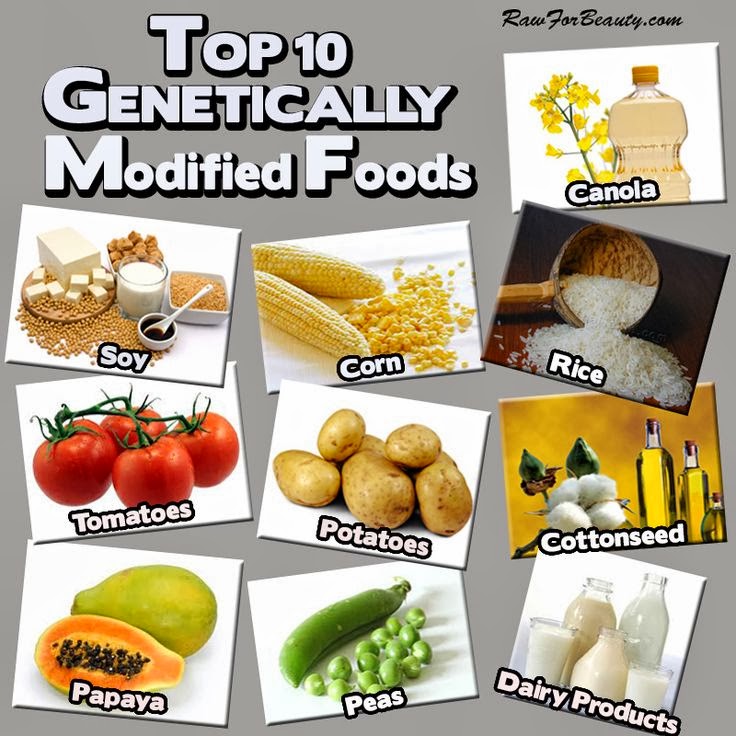 presentation on genetically modified food