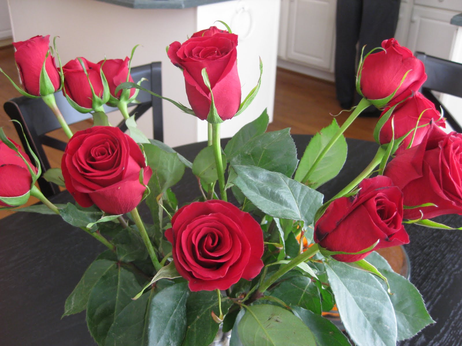 Shlepn Seven: Amazing roses