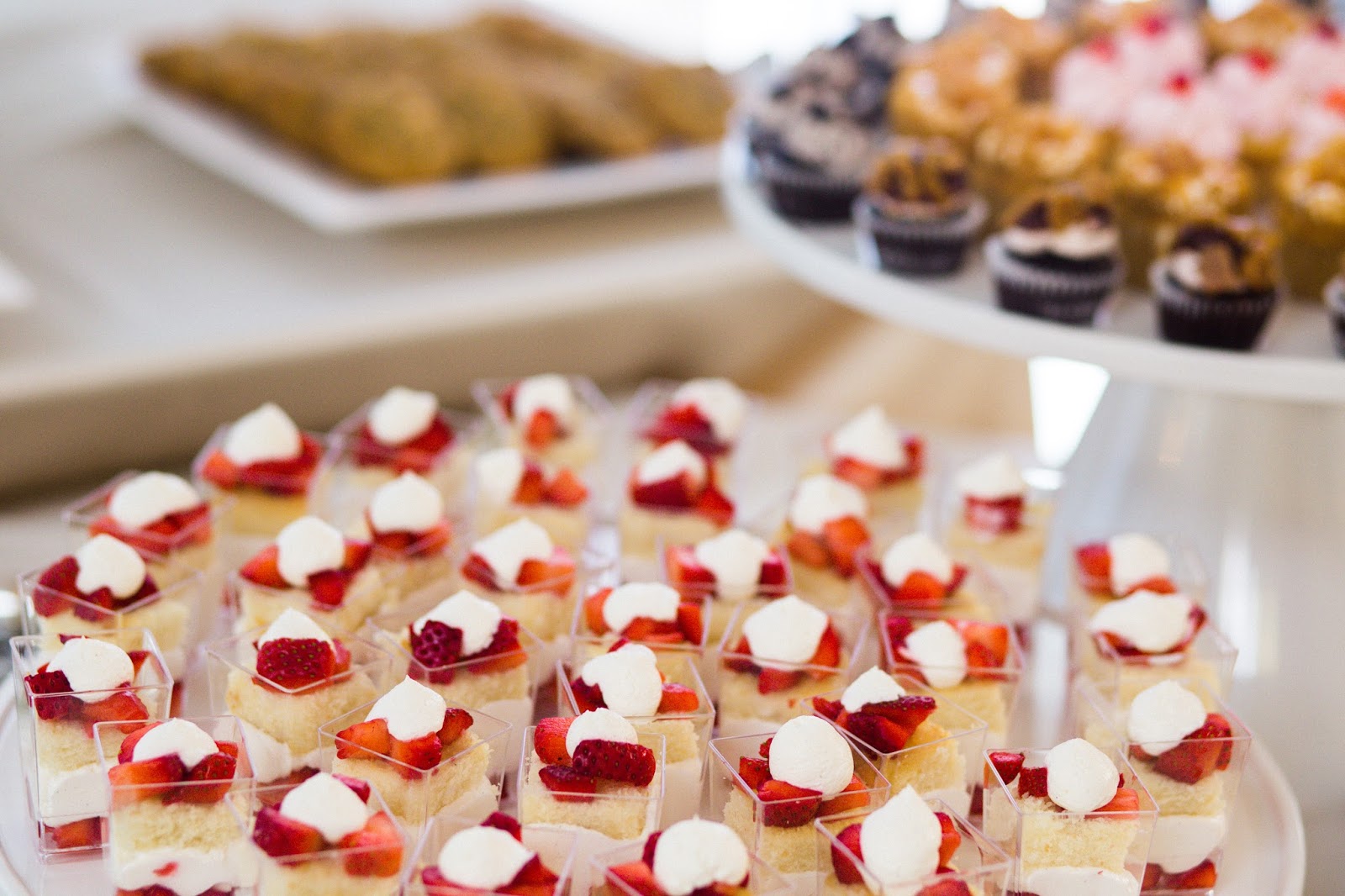 WILLIAMS PARTY RENTALS