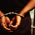 Arrestati 40 gay in Nigeria, ora rischiano fino a 14 anni di carcere