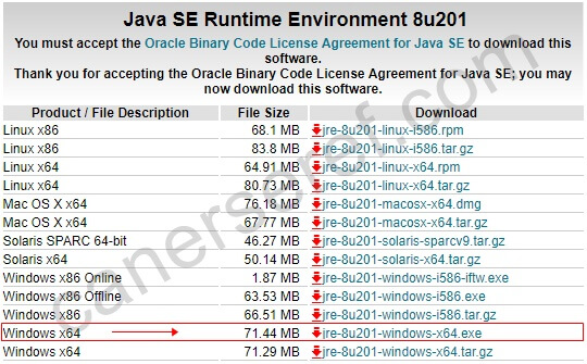 Java SE Runtime Environment 8u201 Java SE Runtime Environment 8u201