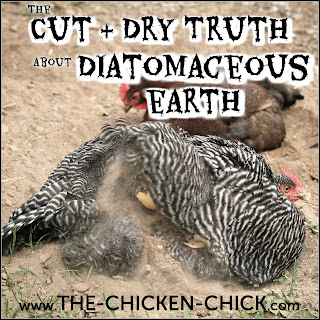 The Cut and dry truth about food grade diatomaceous earth with chickens. The Cut and dry truth about food grade diatomaceous earth with chickens.