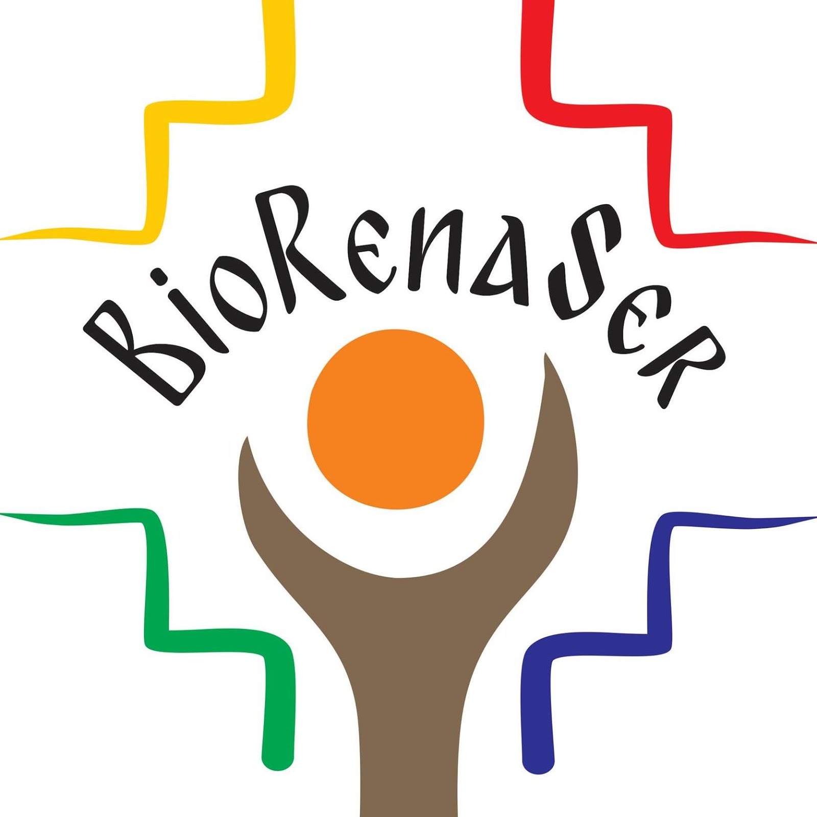 BioRenaSer