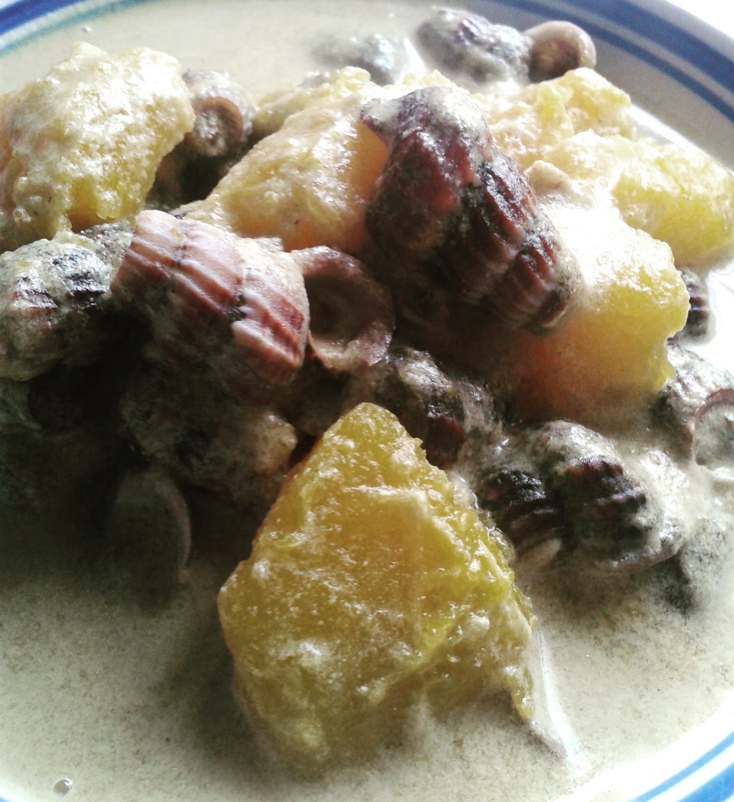 Nailys Kitchen Resepi Siput Sedut Masak Lemak Bersama Labu