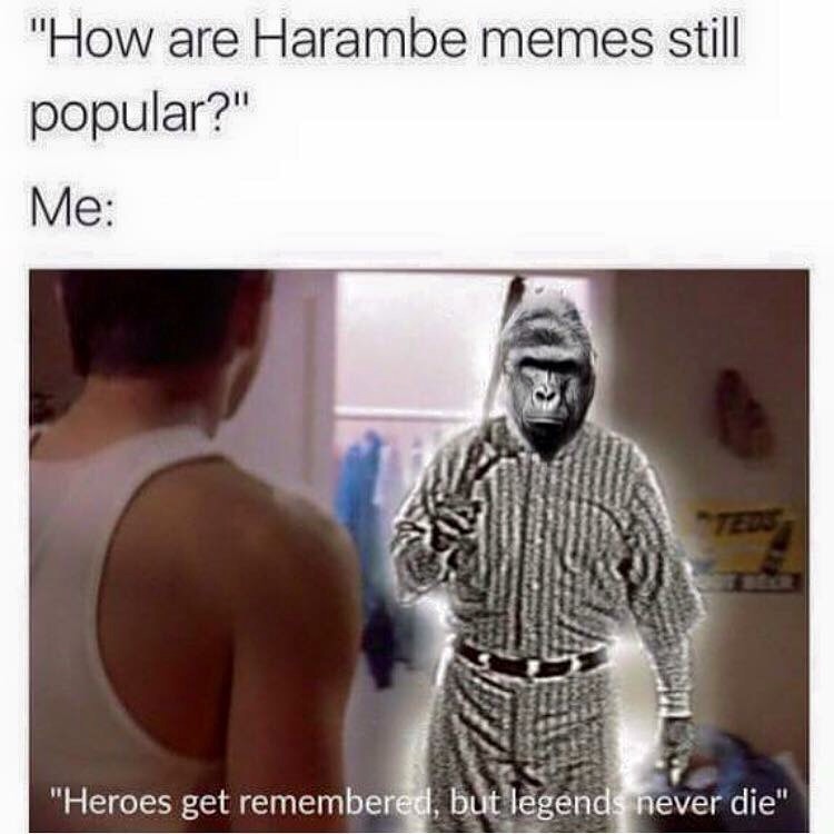 harambe-memes.jpg