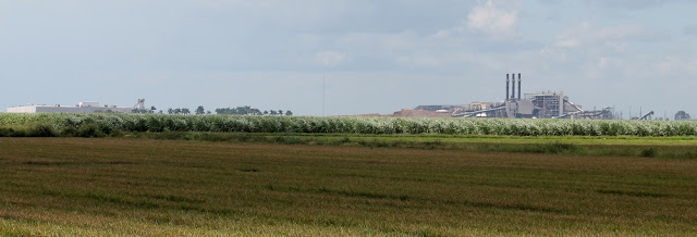 Central azucarero de Okeelanta rodeado de cañaverales Central azucarero de Okeelanta rodeado de cañaverales