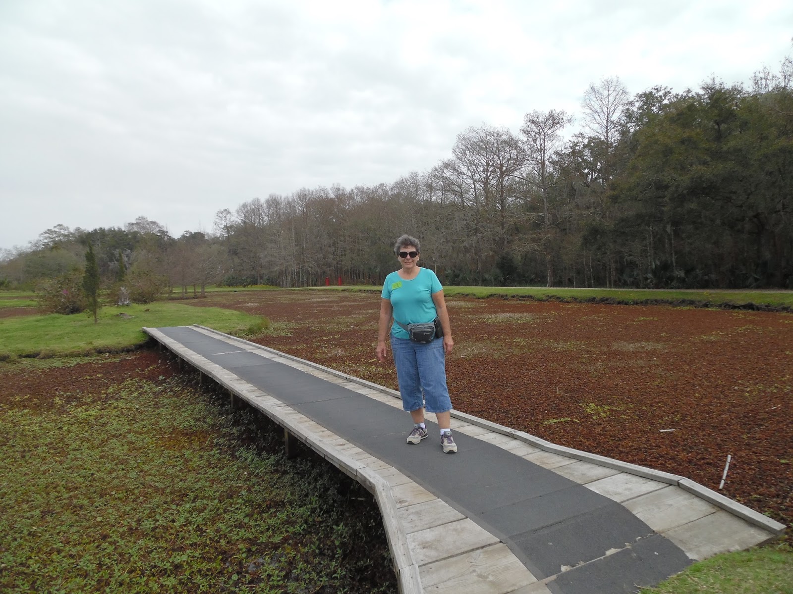 Where in the USA RV? Betty's RV Park, Abbeville, Louisiana