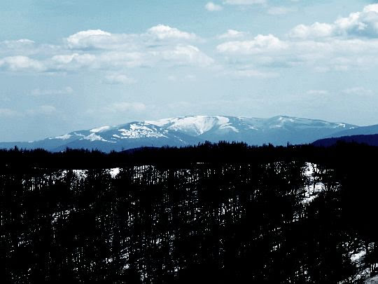 Połonina Równa. Połonina Równa.