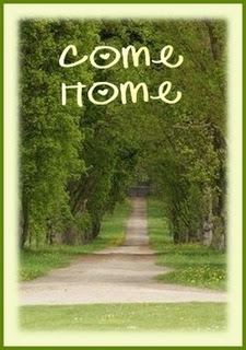 Garden Landscaping of Plan Home and Garden