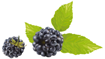 foto buah blackberry