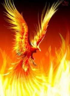 phoenix free web image from examiner.com