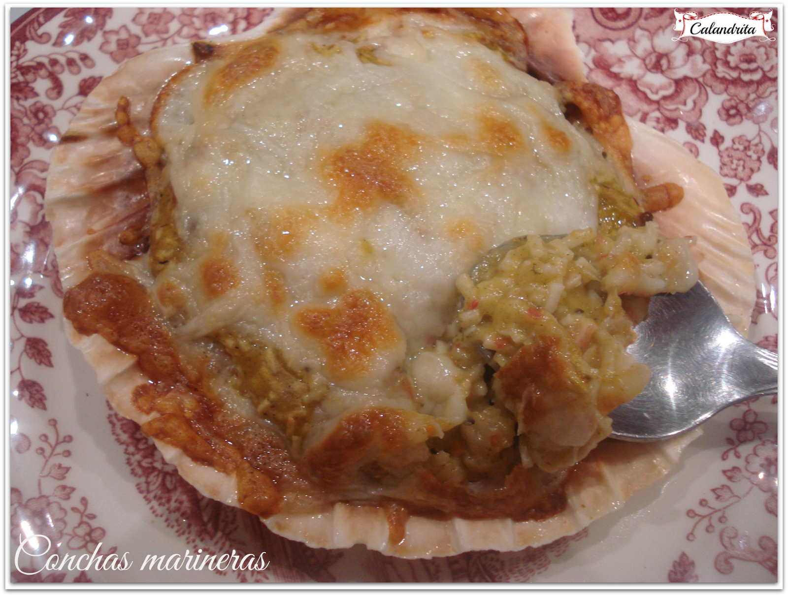 DSC09874-conchas%2Bfin.png