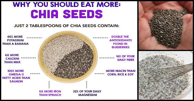 Chia Seeds: A Fiber-Rich Food We Need To Add Into Our Diet Chia Seeds: A Fiber-Rich Food We Need To Add Into Our Diet