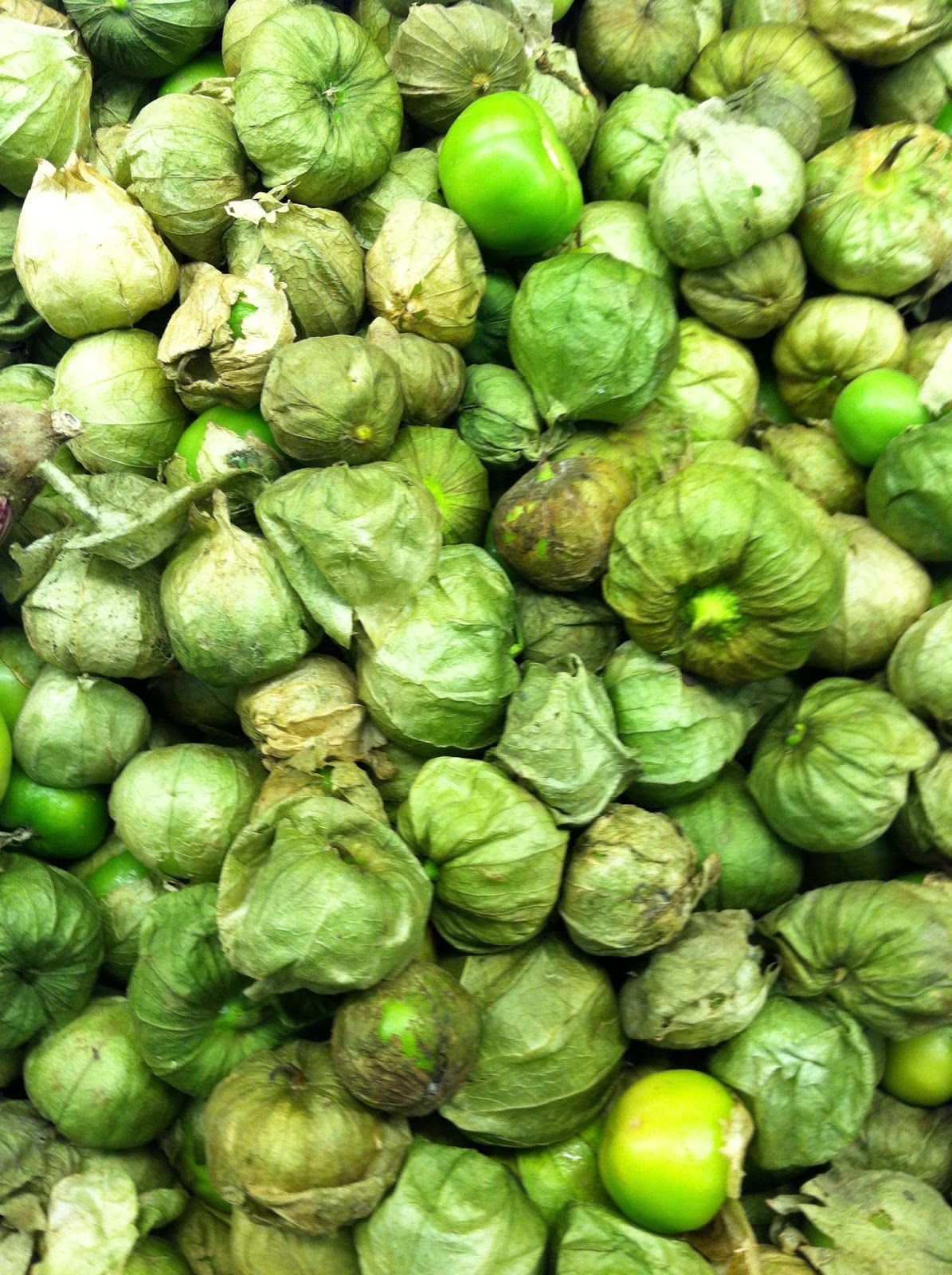 Preserving the Harvest and Canning Tomatillo Salsa Eating Wild Montana