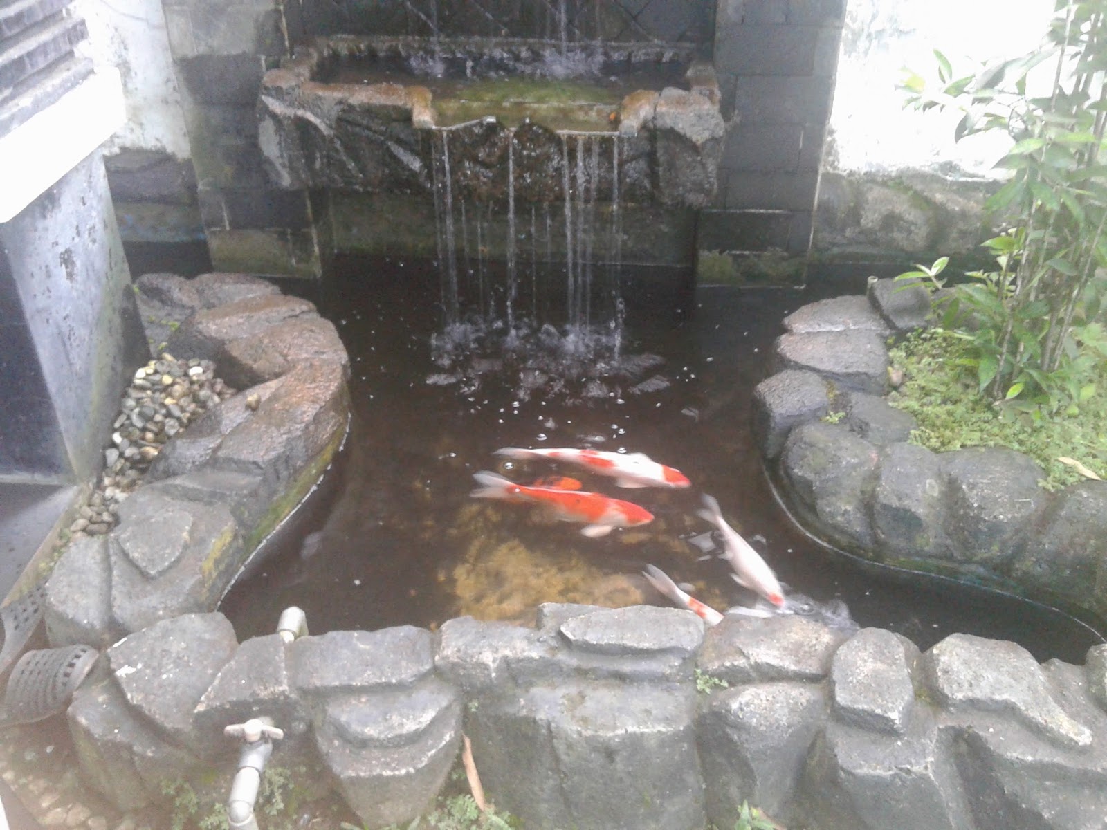 Cara Membuat Kolam Ikan Agar Tidak Bocor - Kreatifitas Terkini