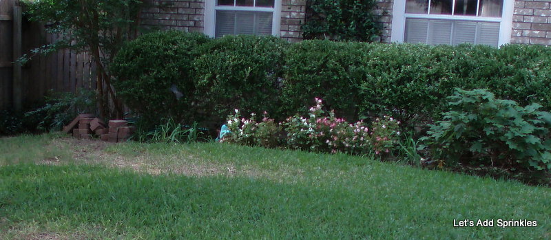 Garden Photo Of The Day Obsessed With Little Hedges