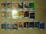 dubluri carti de joc animale marine de la Mega Image