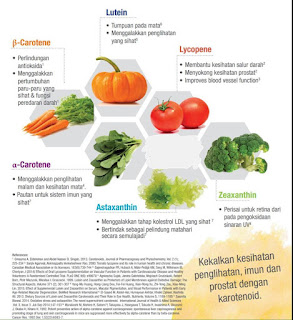 Carotomax Vitamin A Shaklee | Kebaikan, Perbezaan, Testimoni Carotomax Vitamin A Shaklee | Kebaikan, Perbezaan, Testimoni