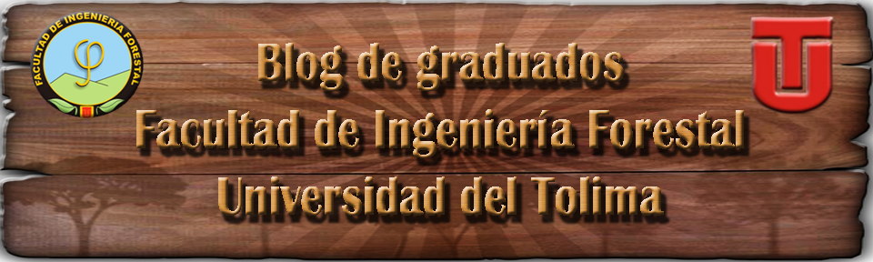 Blog de graduados F.I.F Universidad del Tolima