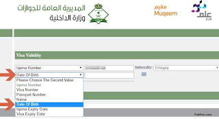 Date of Birth Entry Date of Birth Entry