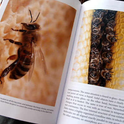 Eight Acres: The buzz about bees - book review - you need this book to take your beekeeping to the next level!