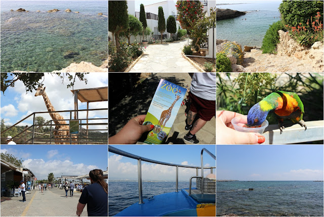 5 Things to do in Paphos Cyprus What to do in Paphos Cyprus