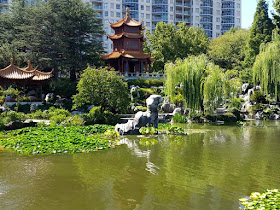 Beautiful Lake at Chinese Garden of Friendship Darling Harbour
