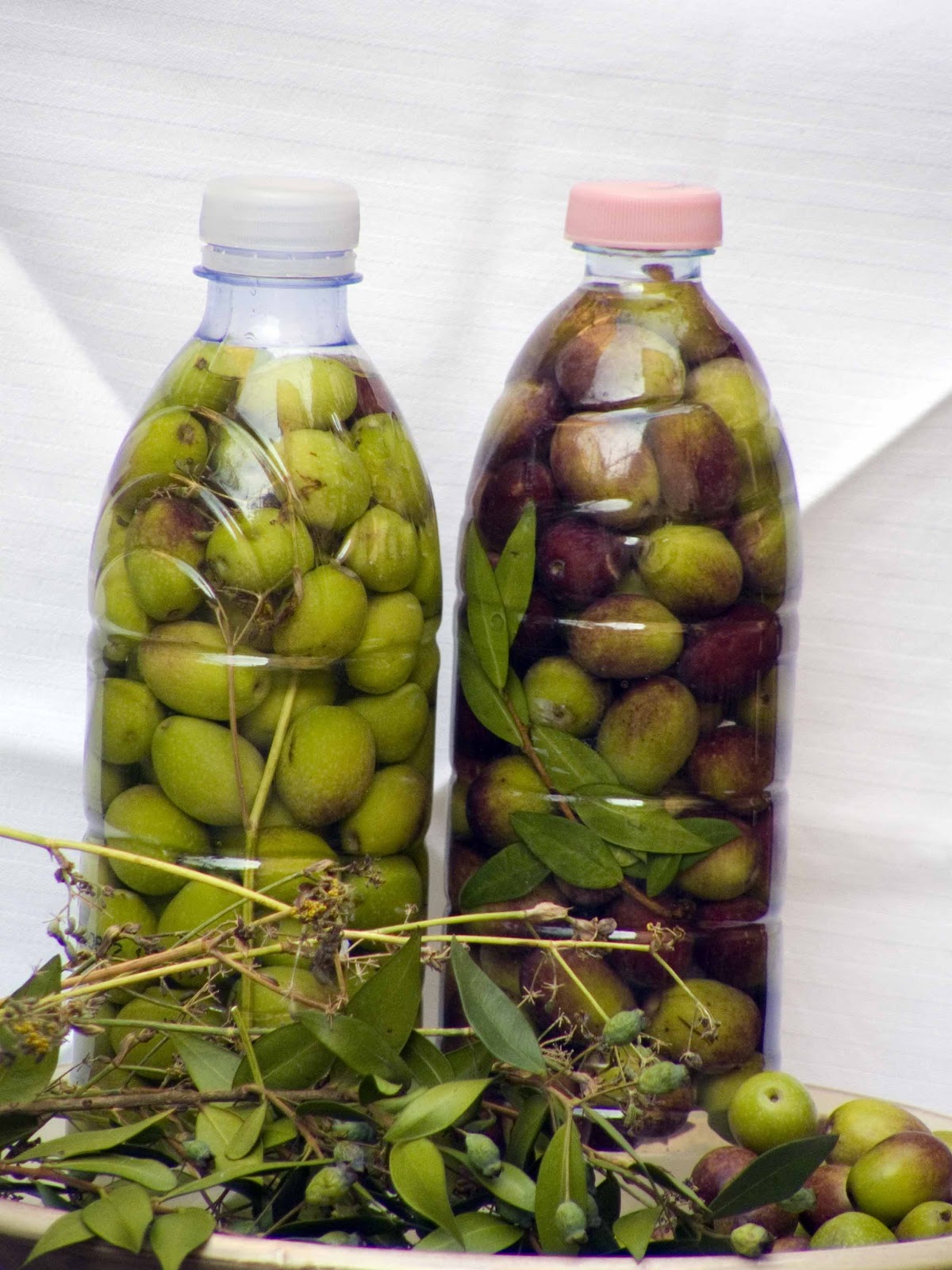 Come conservare le olive verdi in salamoia