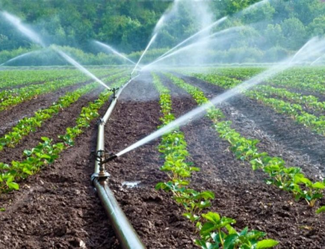 Pradhan+Mantri+Krishi+Sinchayee+Yojana