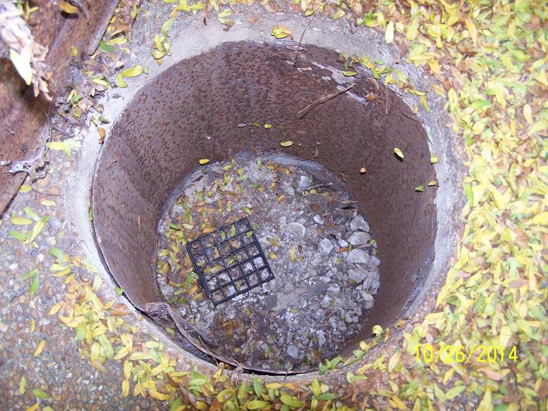 Composting For Beginners