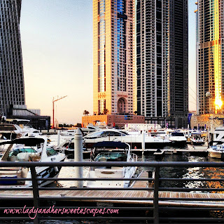 Yachts at Dubai Marina