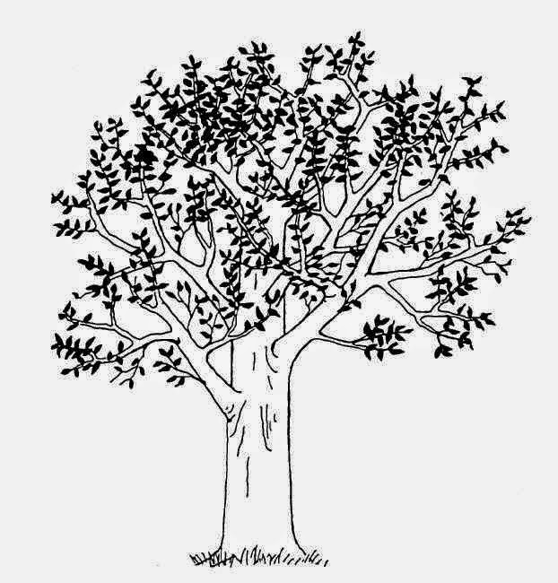 MARABUNTA: Tips Psikotes Menggambar Pohon, Manusia dan 