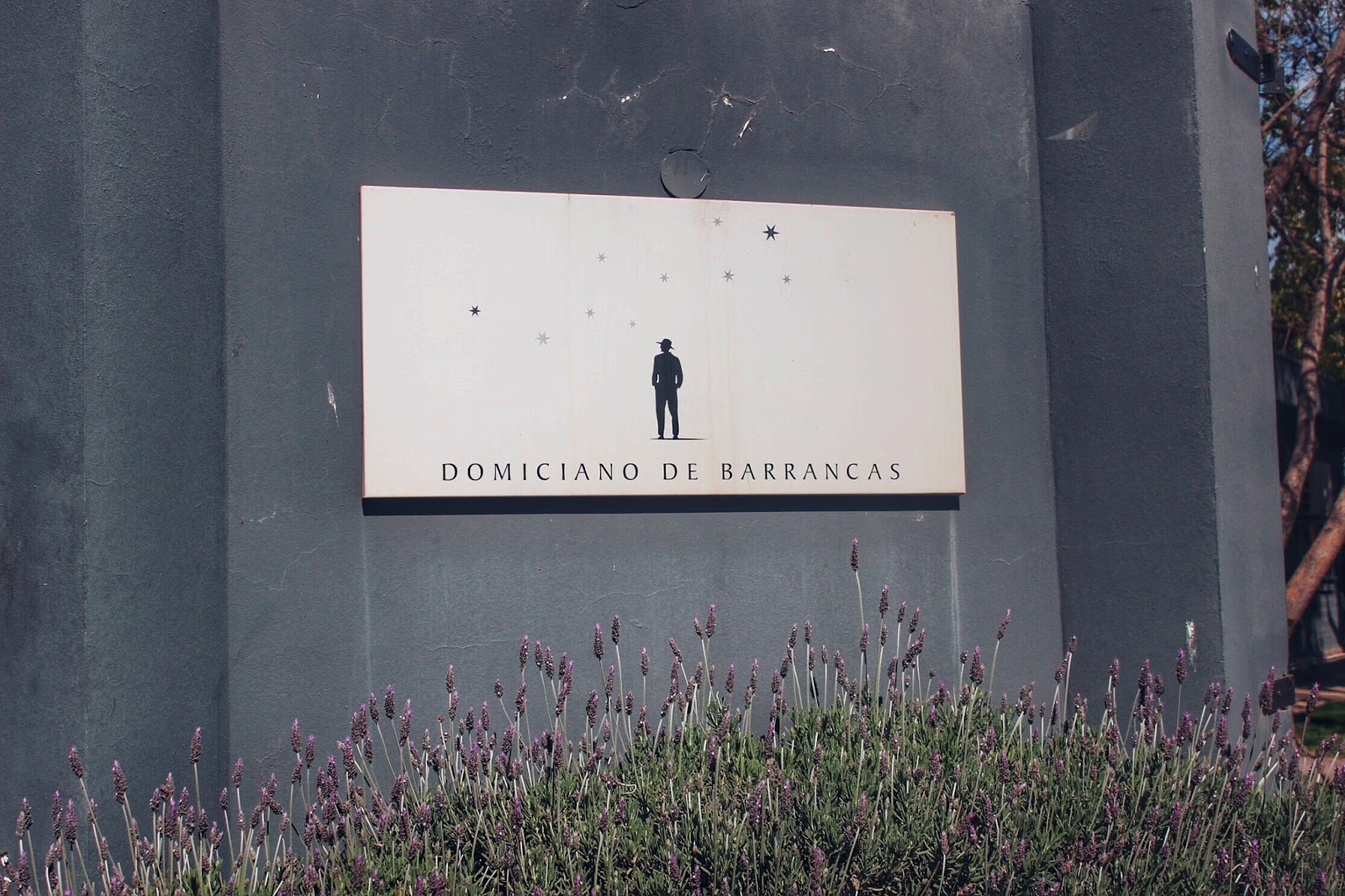 Bodega Domiciano de Barrancas