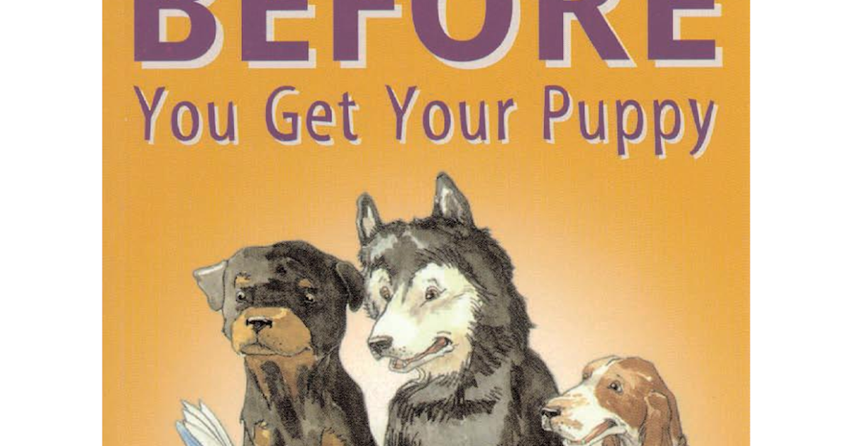 Puppy care: All you need to know before you get your first puppy.