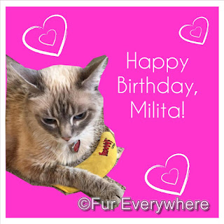 Milita's 15th Birthday