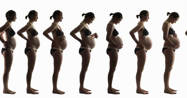 Живот по срокам недели. Живот у беременных по месяцам. Живот растет. Растущий живот у беременных. Рост живота у беременных по месяцам.