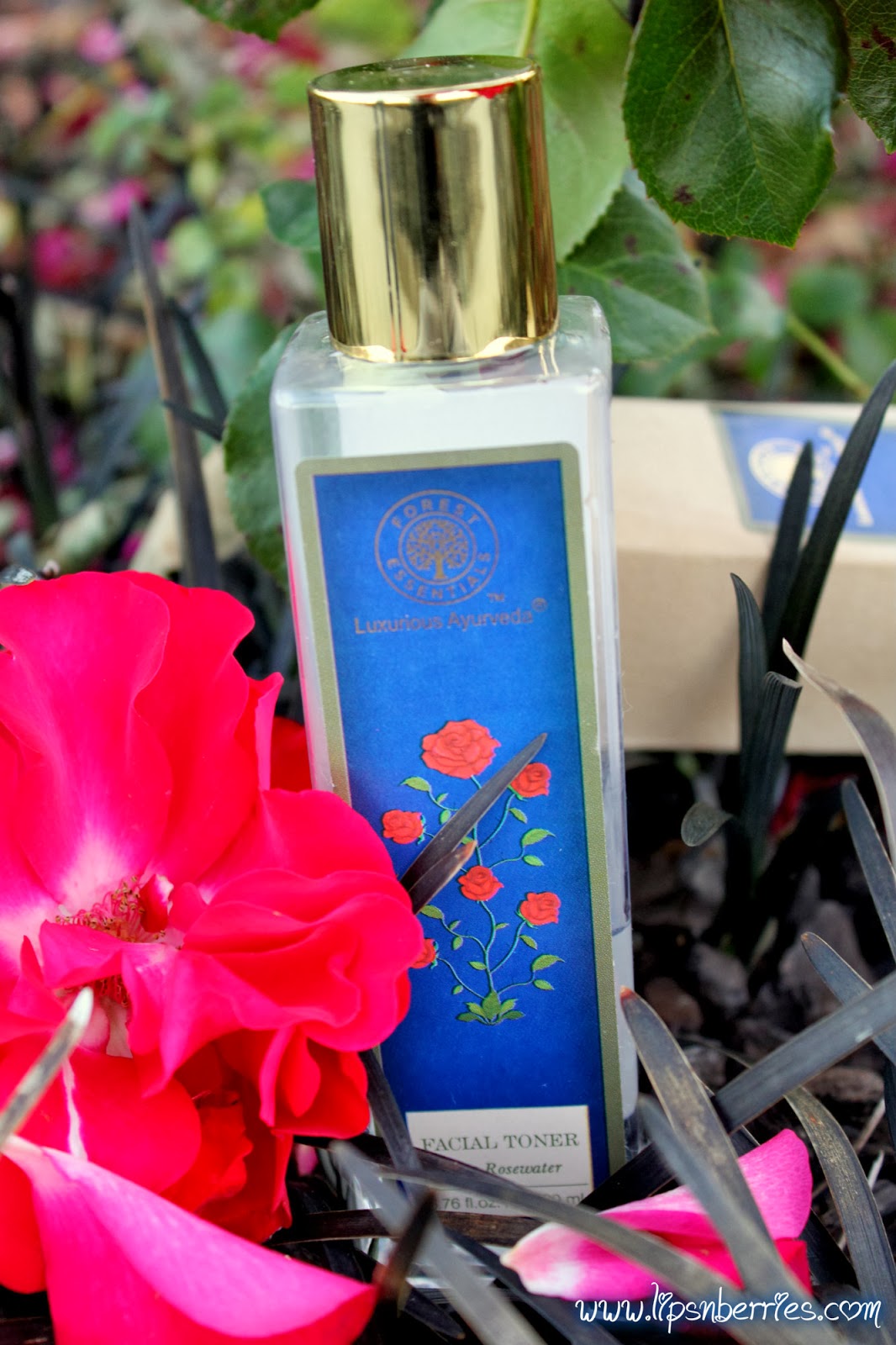 forest essentials toner