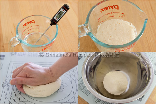 披薩麵團製作圖 How To Make Pizza Dough