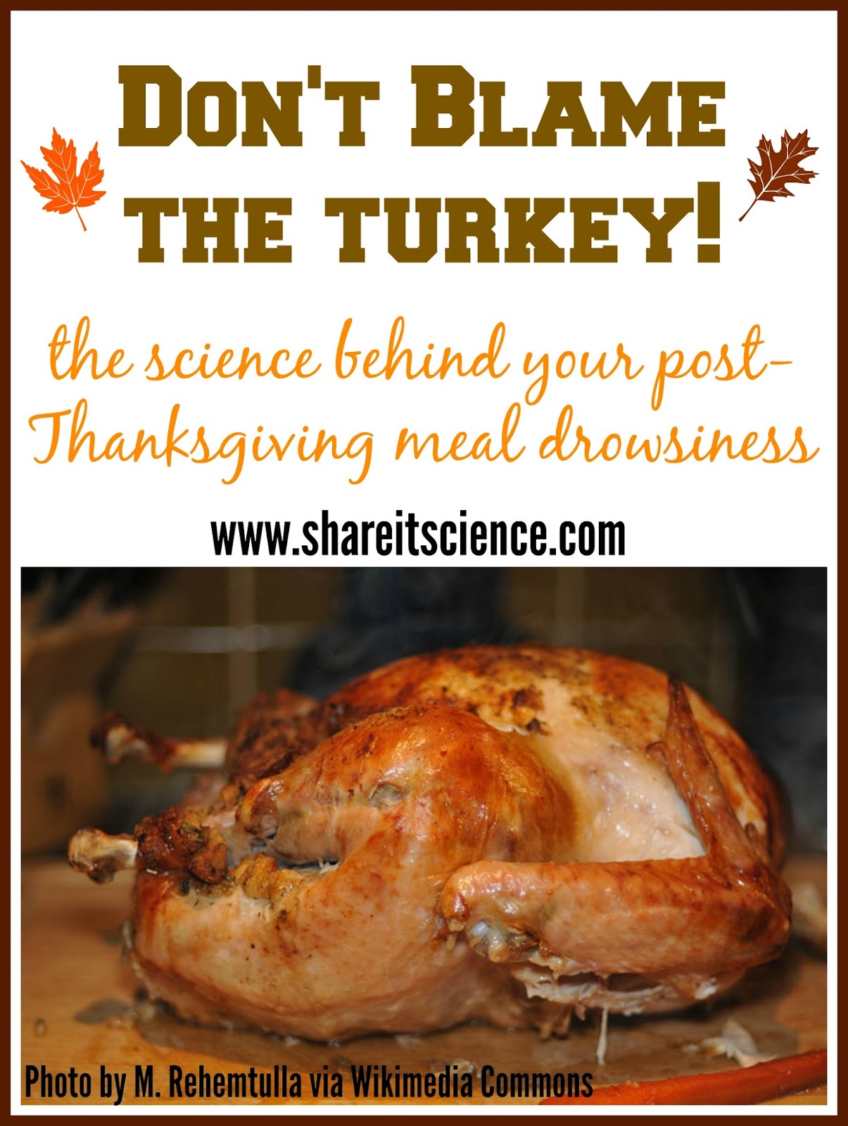 Share It Science Don T Blame The Turkey